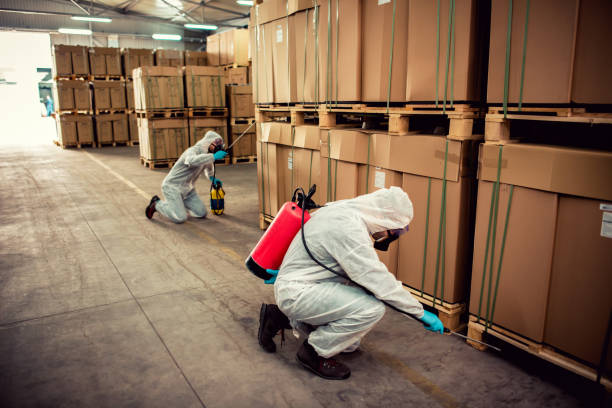 Best Flea Control Services  in Hansen, ID