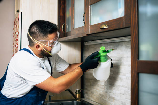 Best Pest Removal Services  in Hansen, ID