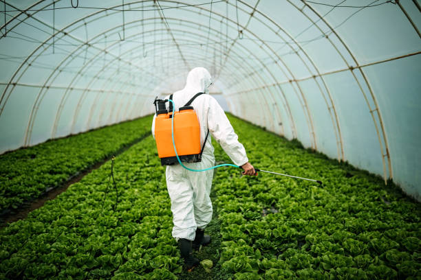 Best Pest Prevention Services  in Hansen, ID
