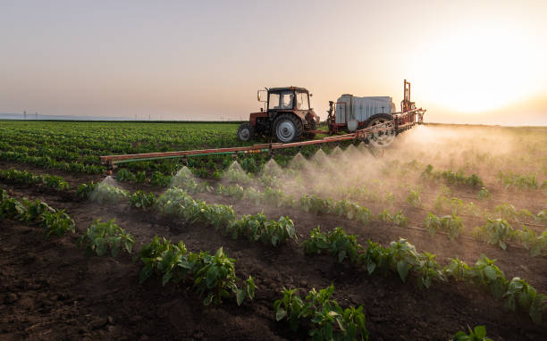 Pest Control Cost in Hansen, ID