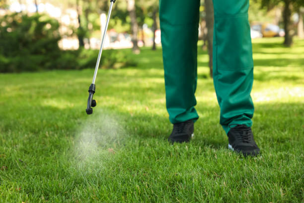 Best Affordable Pest Control Services  in Hansen, ID