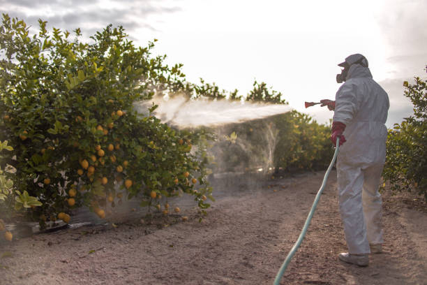 Pest Control for Restaurants in Hansen, ID