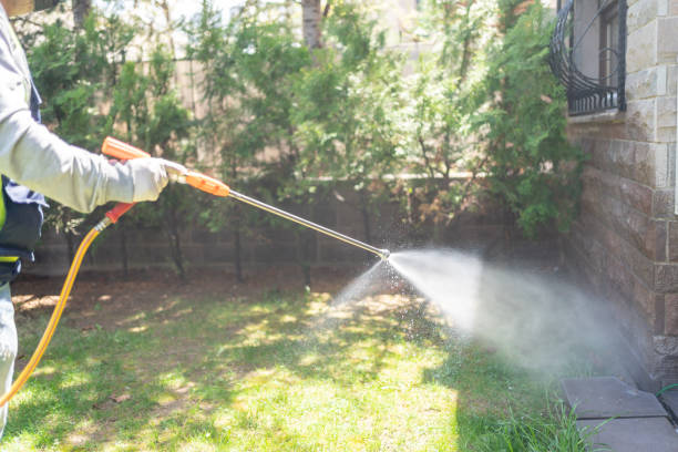 Trusted Hansen, ID Pest Control Experts